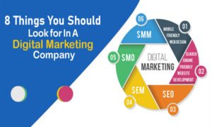 8 Things You Should Look for In A Digital Marketing Company